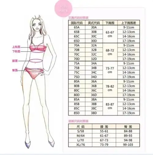 臀围90厘米计算女性标准三围的方法胸围=身高厘米×0535,腰围=身高