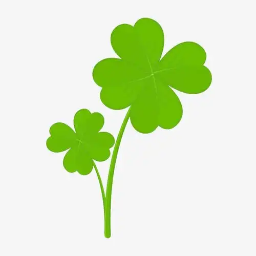 用四叶草或者三叶草作为黑板报花边三叶草图案的花边往往四叶草的描写