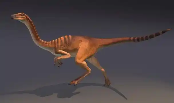 似鸡龙:一种奔跑速度极快的恐龙