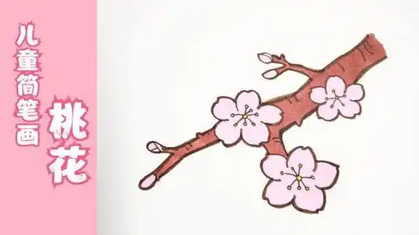 春天盛开的桃花简笔画桃花简笔画图片卡通桃花简笔画