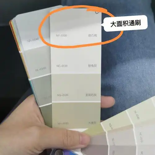 华润乳胶漆全屋盲选色号