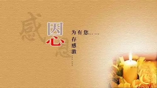 感恩的心,感恩为你