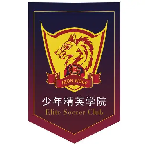 足球俱乐部队旗设计