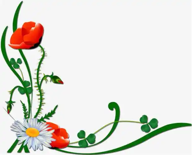 花朵小草边角装饰植物元素