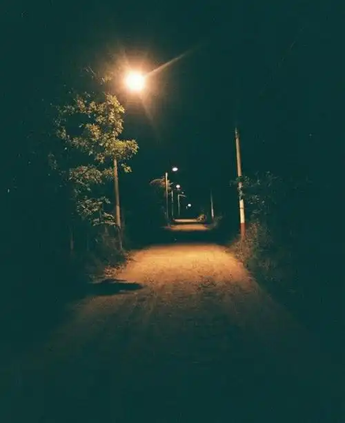 我的孤独是一座花园,壁纸,夜景,小巷