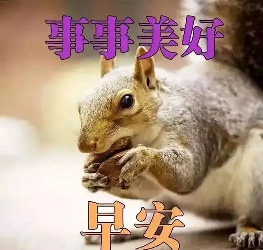 4月19日牛年最新版清晨早上好问候语录图片,早晨好问候祝福短信