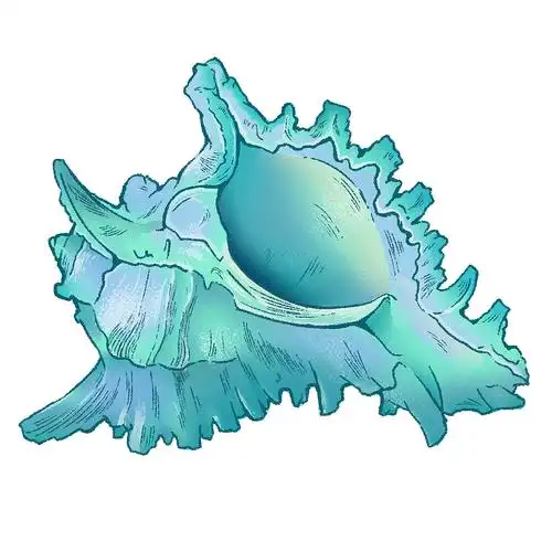 海洋生物系列插画