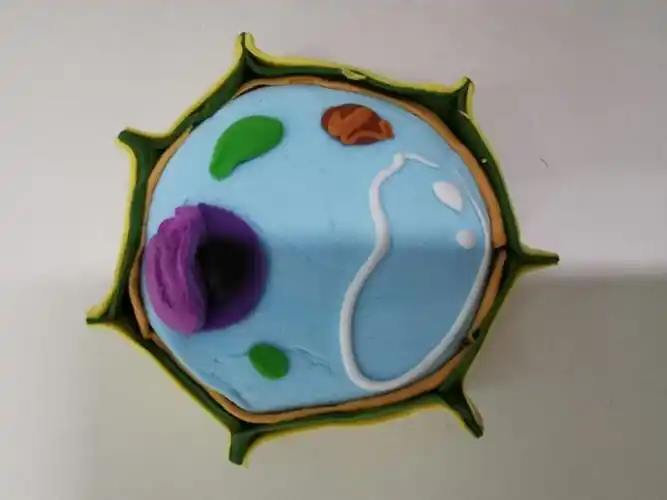 已然是艺术品,他们分别是黏土一号,黏土二号……紫陶"重量级"植物细胞