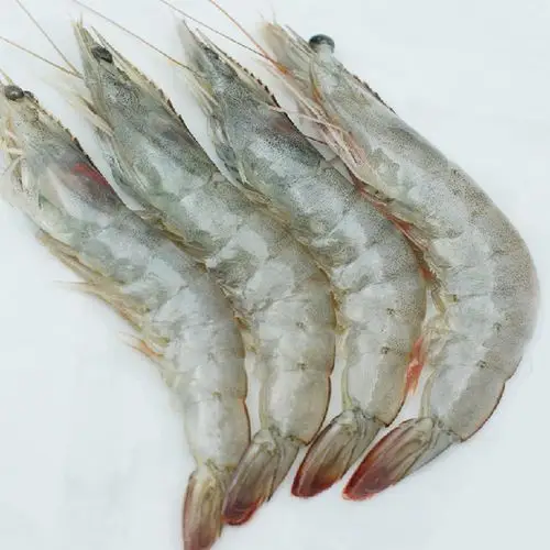 厄瓜多尔进口白虾 南美白虾 冷冻海白虾礼盒 2公斤