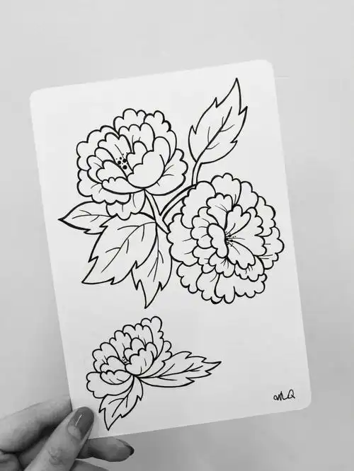 黑白画简笔画花