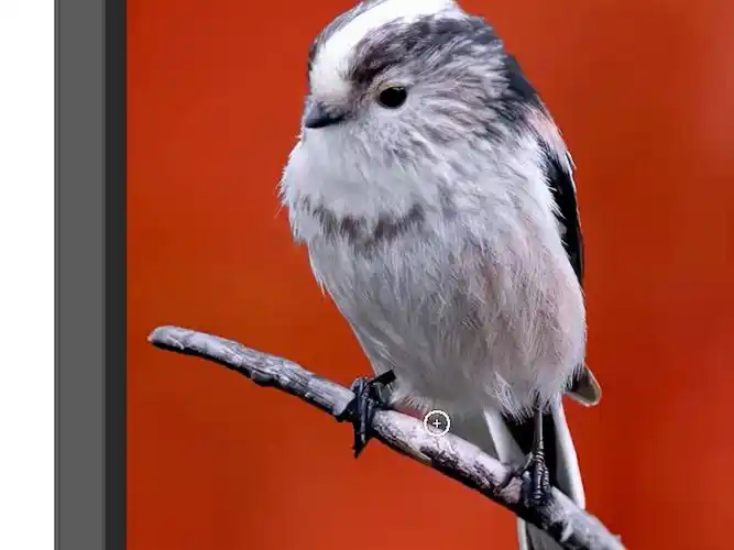 ps教程每日一个抠图技巧快速抠图扣毛发.