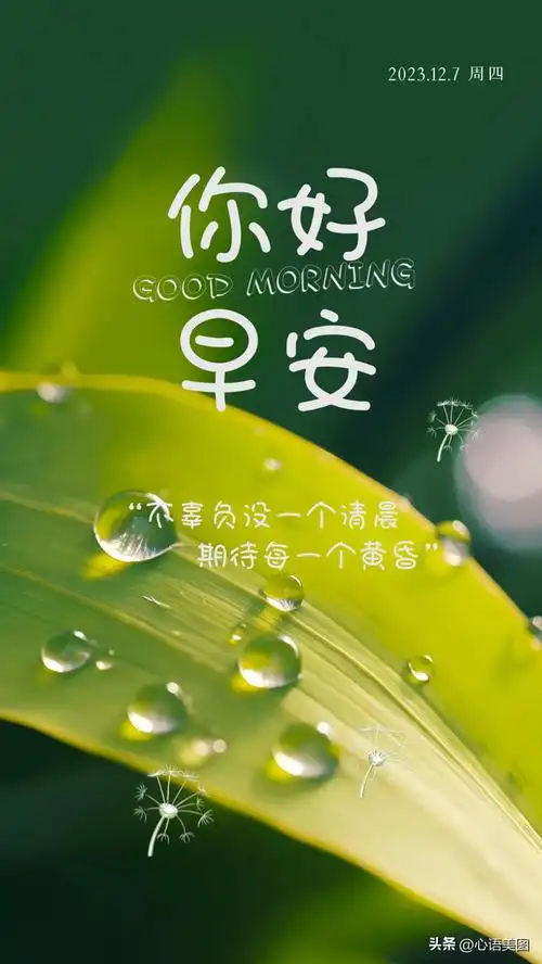 早安语录正能量励志图片:明天是自己的,要从今天辅垫!