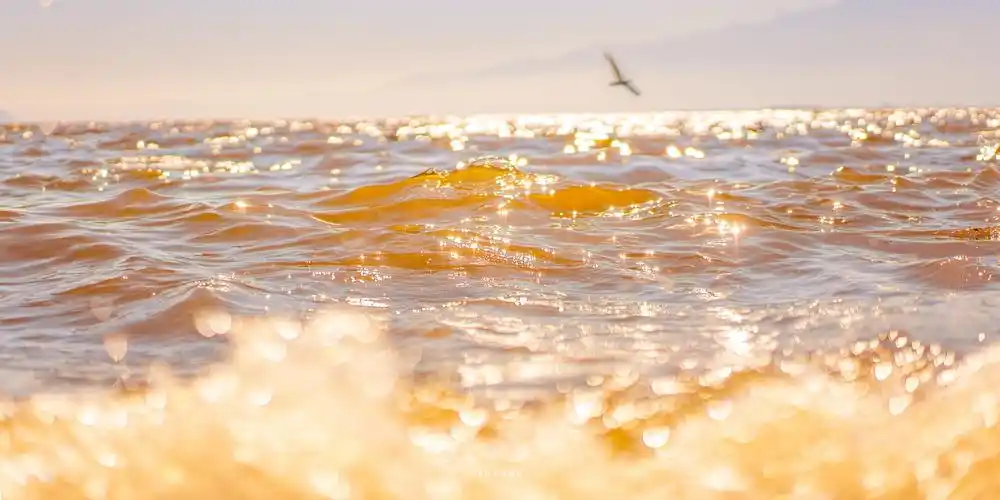 有什么高逼格的笔记本电脑桌面壁纸