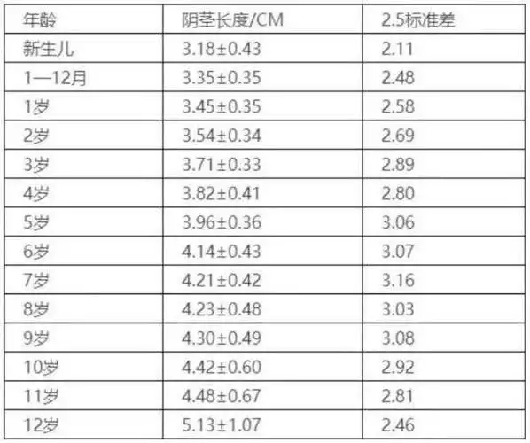 这个标准就是大多数正常孩子的"jj"长度,有人做了测量统计,见下表.