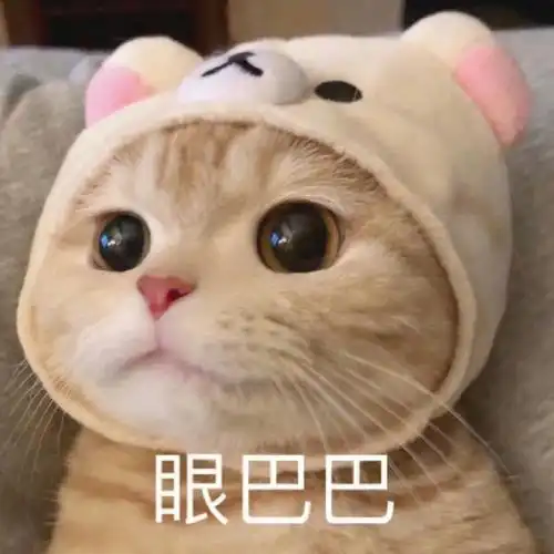 2021.4.13 今日份沙雕表情包合集