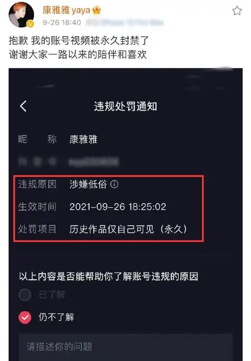 永久封禁了,以往发布的作品仅自己可见,平台给出的违规原因是"涉嫌
