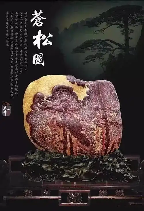 丹景石苍松图,这是一块知名度极高的奇石,现在的藏家是温江的肖先生