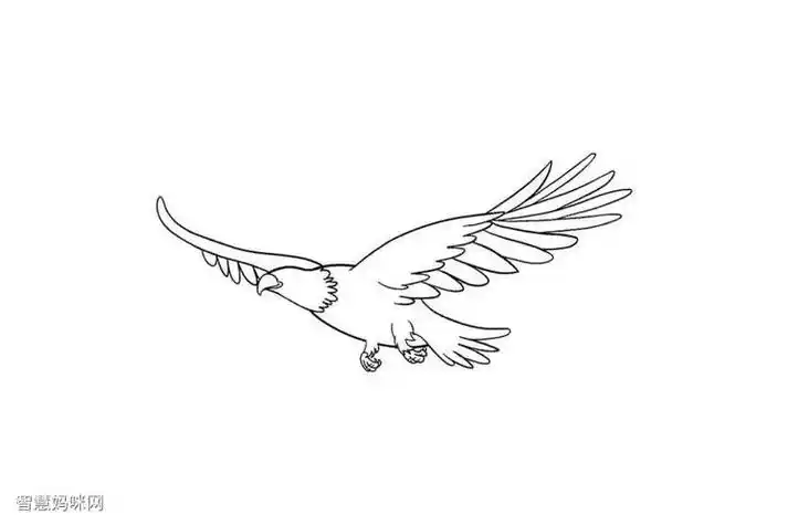 怎么 strong>画雄鹰简笔画 /strong>带步骤简单又好看涂