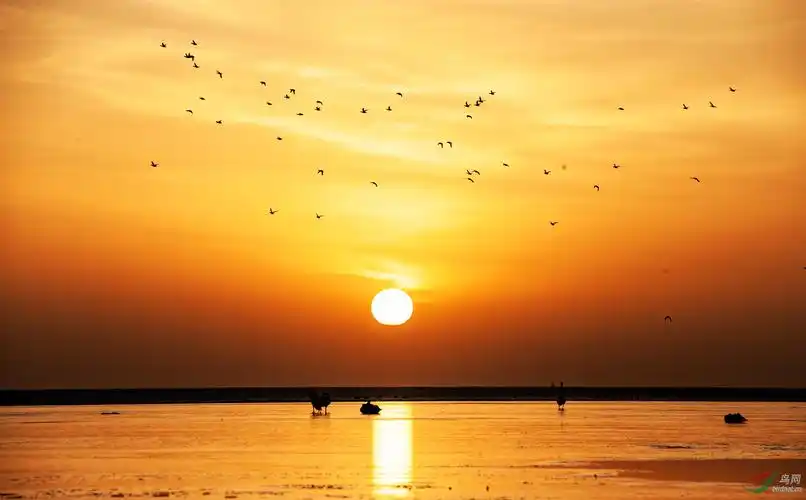 《一轮红日出东方》