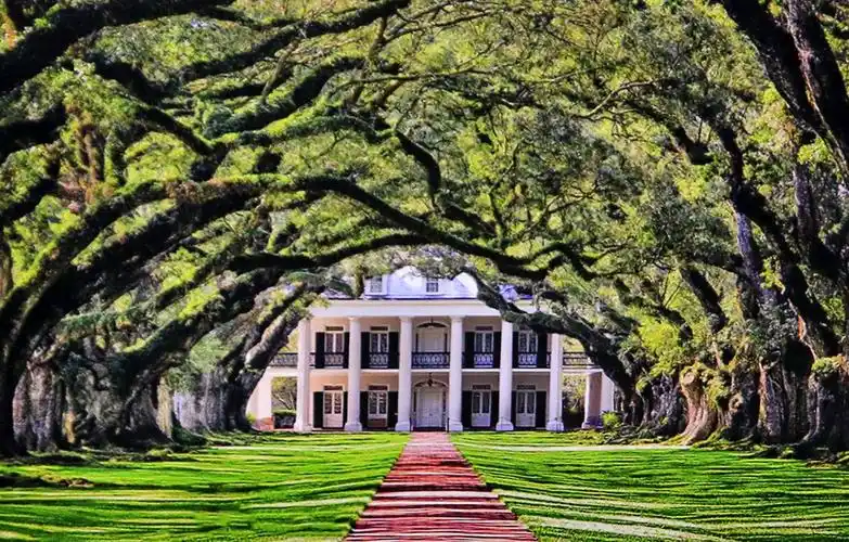 从开放式和封闭式构图来谈摄影创作