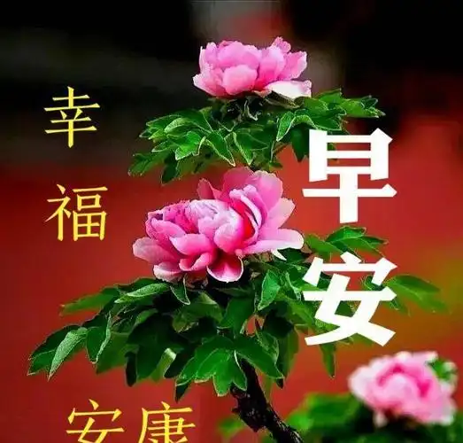 最美朋友圈问候早上好的句子带图片