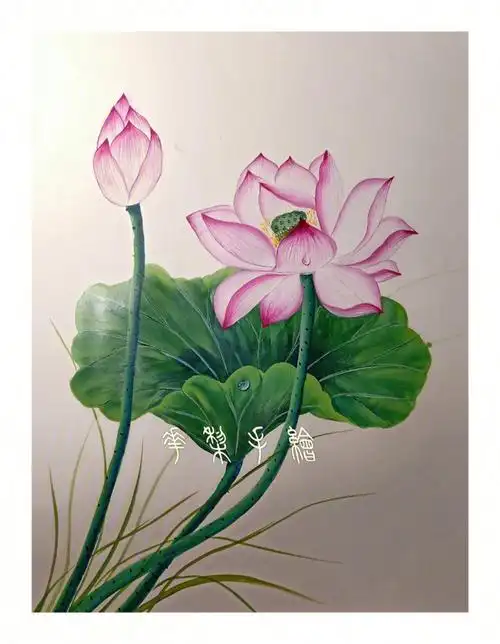 排笔画荷花附过程图