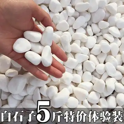 白石子多肉铺面石园艺小石子白色石头花盆装饰鹅卵石庭院铺地软石