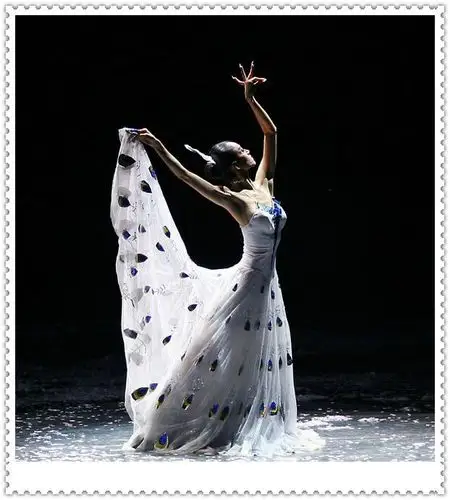 孔雀舞——周六