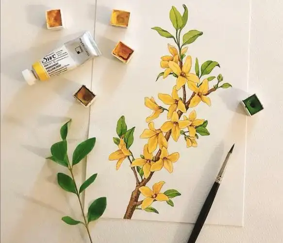 ins大神的水彩花草分享,今天你开始画画了吗?