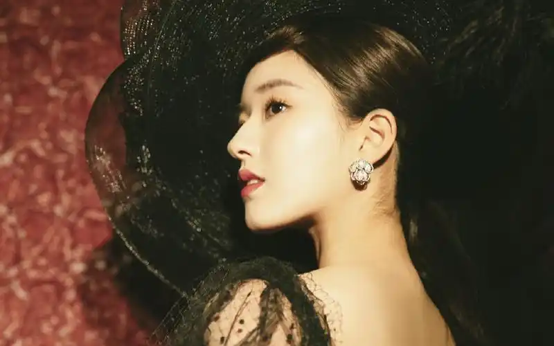 赵露思优雅复古写真图片桌面壁纸