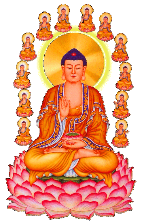 900_1398竖版 竖屏gif 动态图 动图