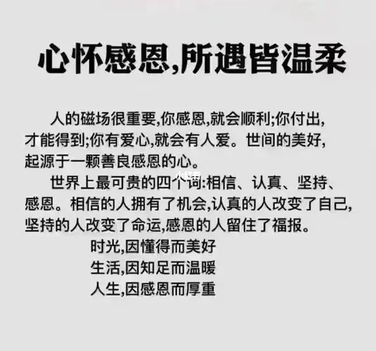 心怀感恩遇见美好