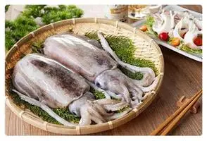 墨鱼和鱿鱼的区别