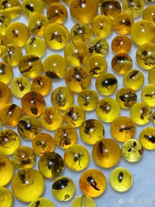 蚊子蚂蚁 苍蝇 甲虫包裹在里边.虫珀也叫灵珀,及其稀有珍贵!重24.