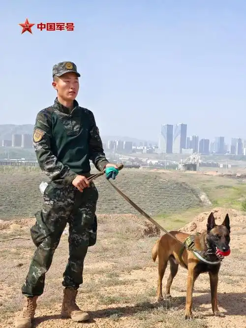 为国出征,"黄金搭档"简历大揭秘