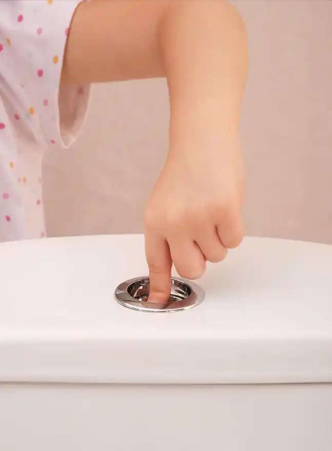 维博卫浴分享:为什么不能直接"倒水冲马桶"?