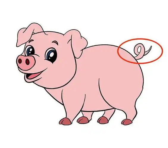 因其两端形似英语字"j"而取名dj管,又称:双j管,双猪尾管.