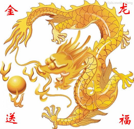 950_914gif 动态图 动图