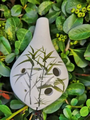 陶笛吹奏——《女儿情》