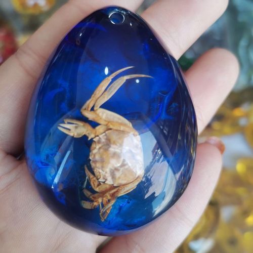 人造琥珀蜜蜡真昆虫螃蟹蝎子标本吊坠人工虫珀学生观察吊坠手把件