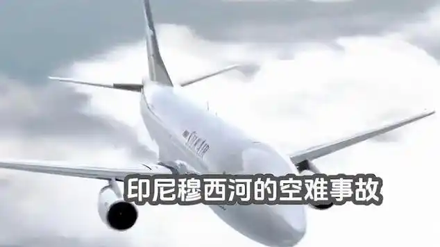 交通 #空难 #普法小剧场 #真实故事|胜安航空185号班机空难_网易视频