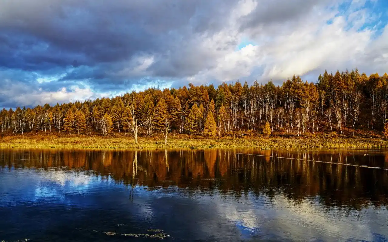 唯美林海风光高清桌面壁纸高清大图预览1920x1200_风景壁纸下载_美桌