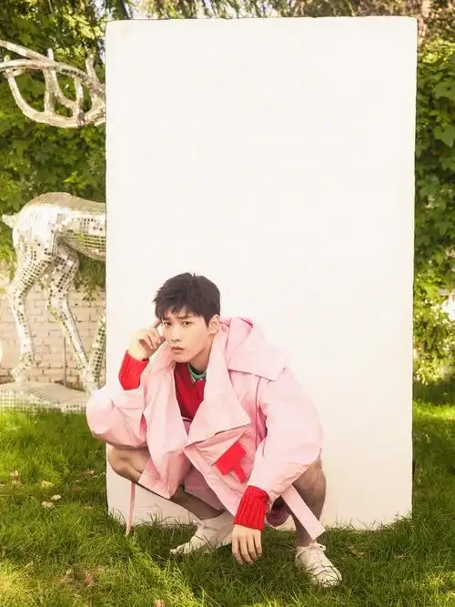 邢昭林帅气时尚写真 邢昭林图片