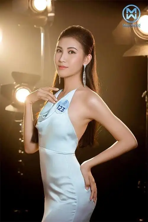 明星图集~2019年越南世界小姐选美大赛