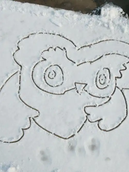 南路小学雪地画