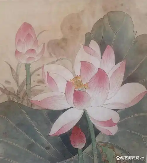 接下来,小编来和大家一起分享如何画好一幅工笔荷花?