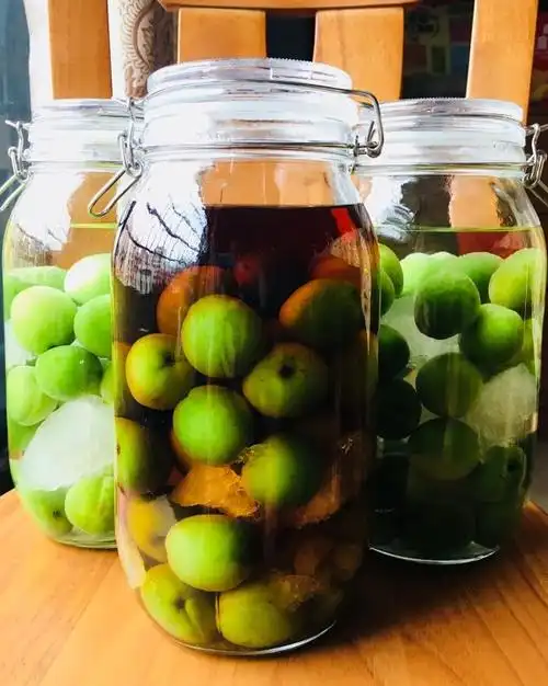 萌萌哒橙子君做的青梅酒(优的春日私酿第二话)