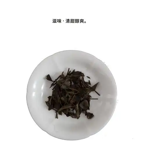 御茶园老枞白茶伍送礼自饮皆宜一袋一泡100g条5g袋简易装