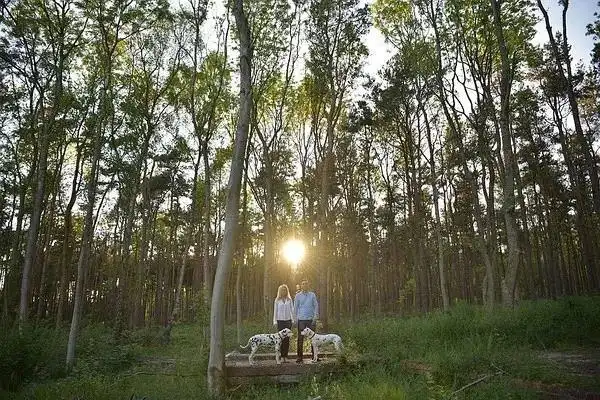 技巧提升丨初学者不让照片曝光过度的拍摄技巧!