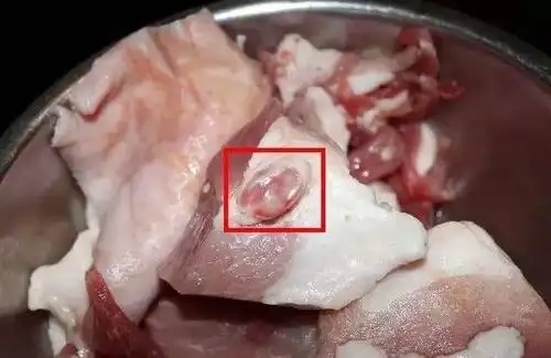 避开了死猪肉,躲过了病猪肉,却又来了这种猪肉!